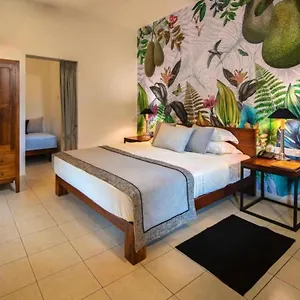 book here